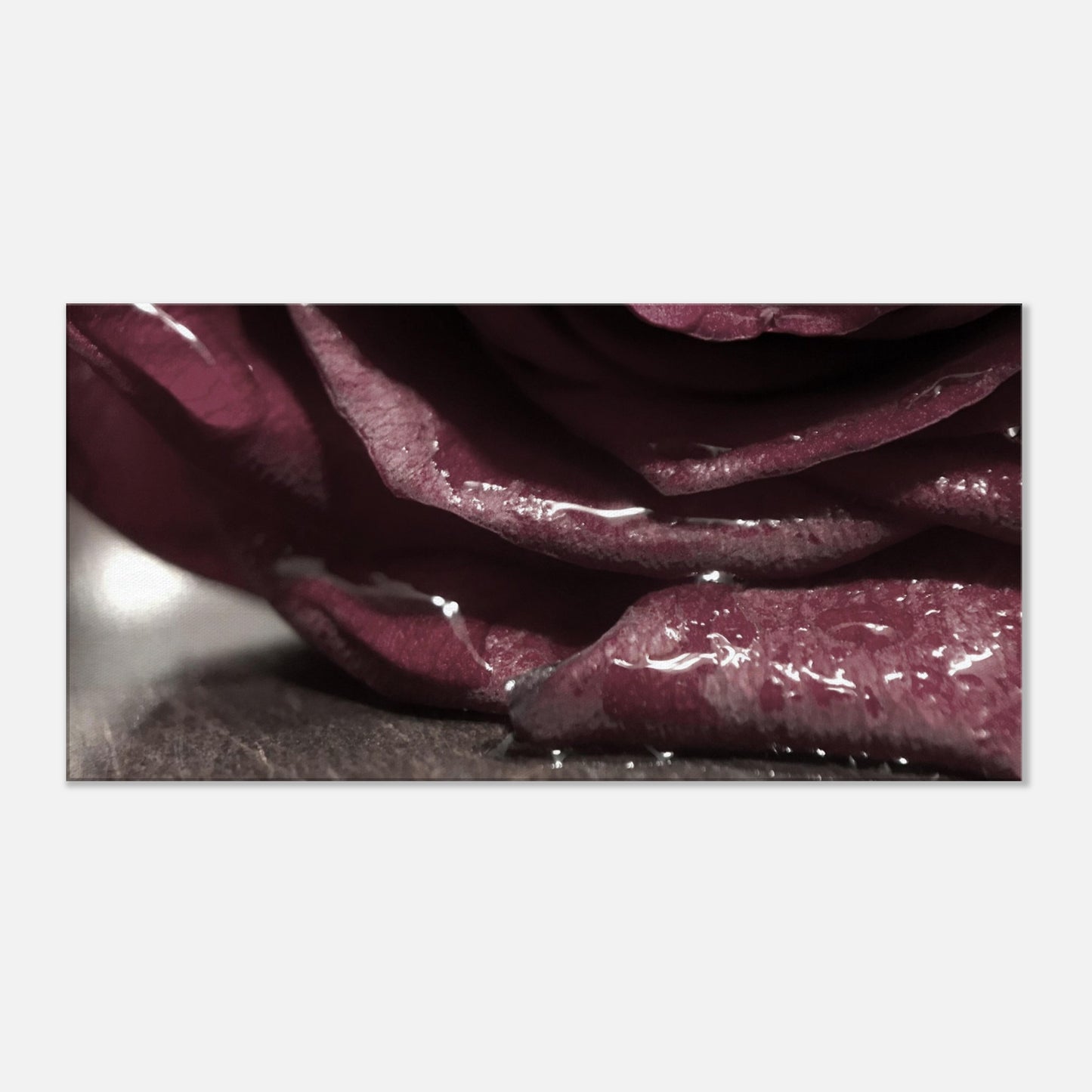 a07808ff-c488-4a20-a71e-4bd0d41038f8