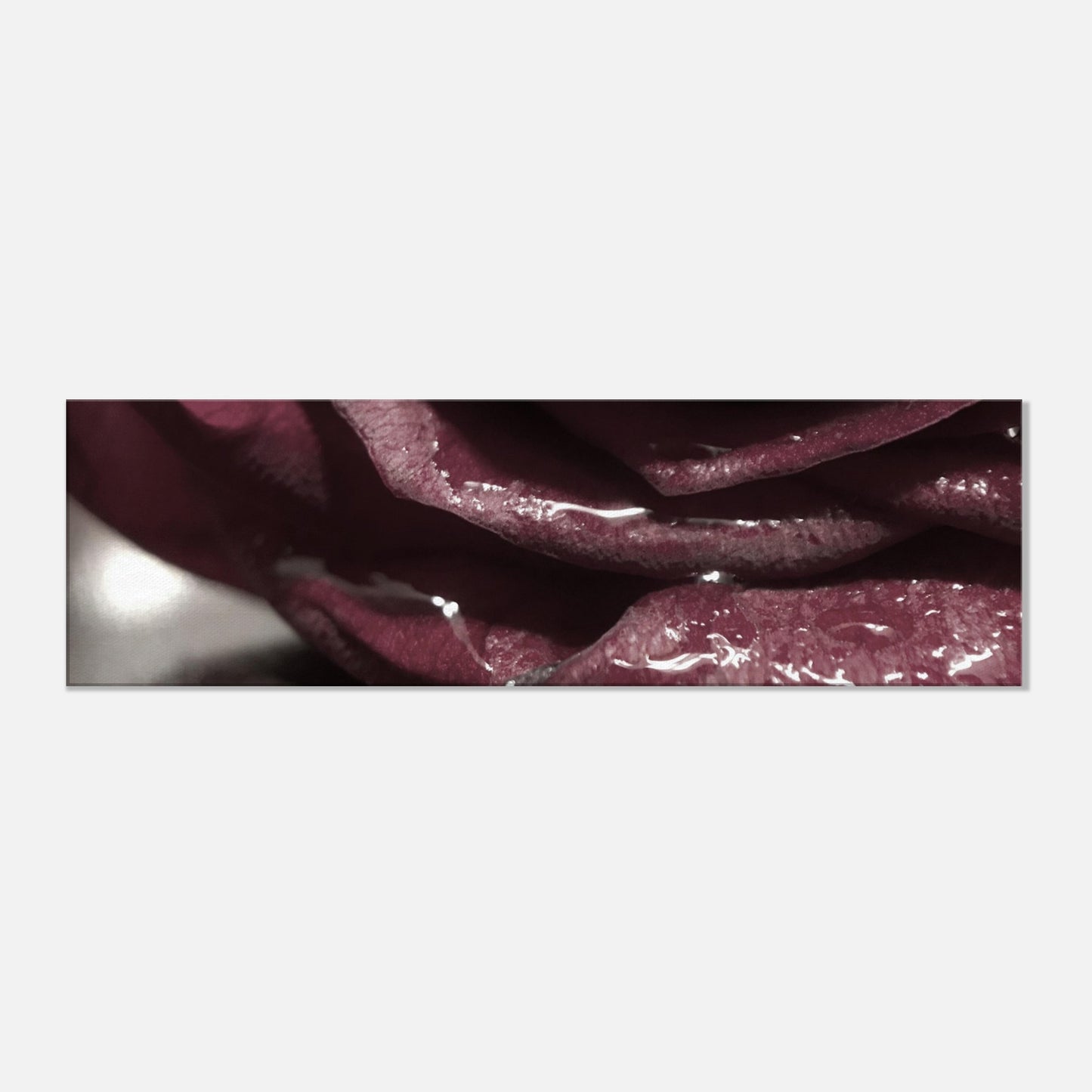 e29e411a-0761-43a6-8b50-2f3ca54f9126