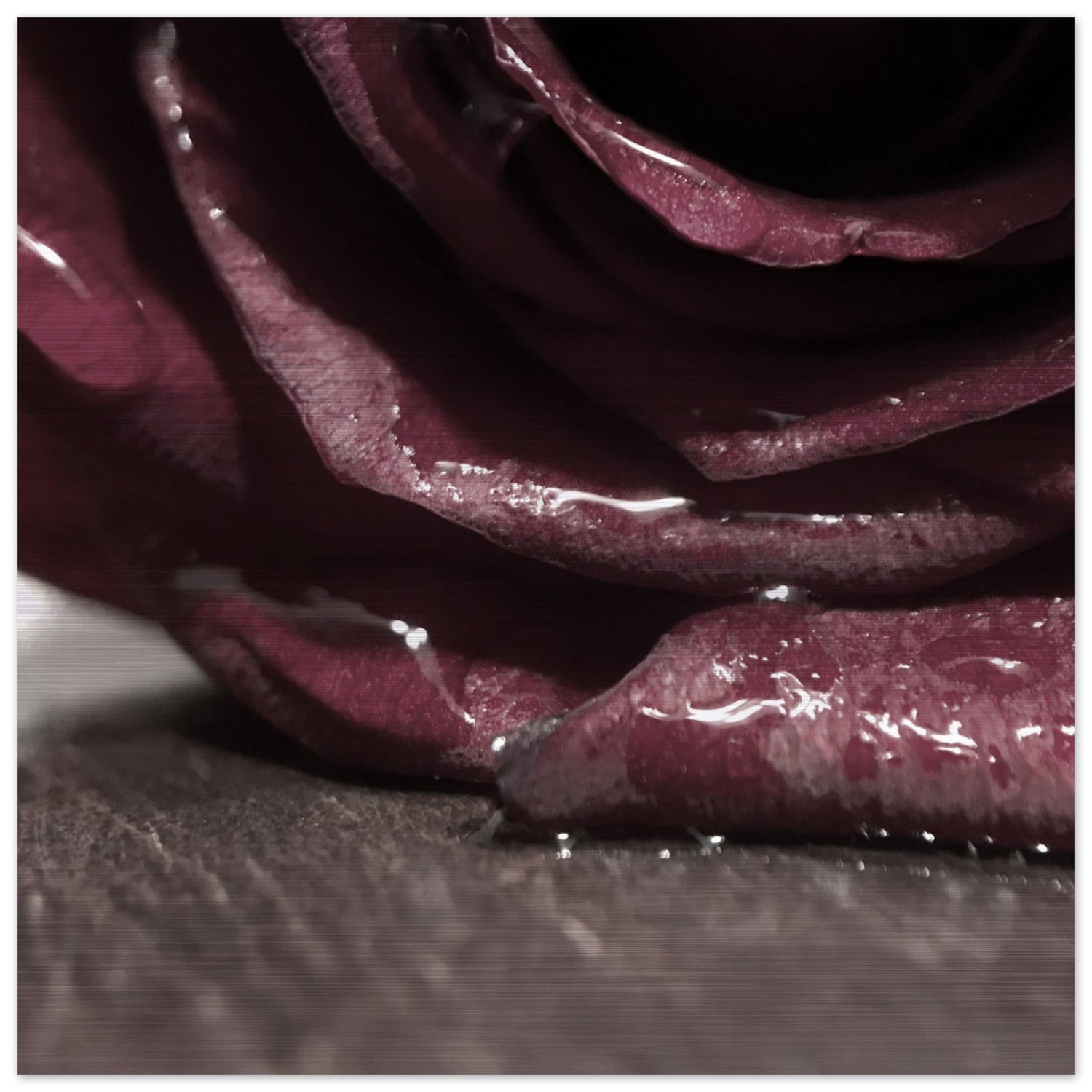 4fb375b0-89d1-433a-bb64-2124fd0c705e